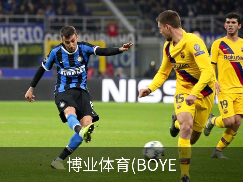 关于博业体育(BOYE